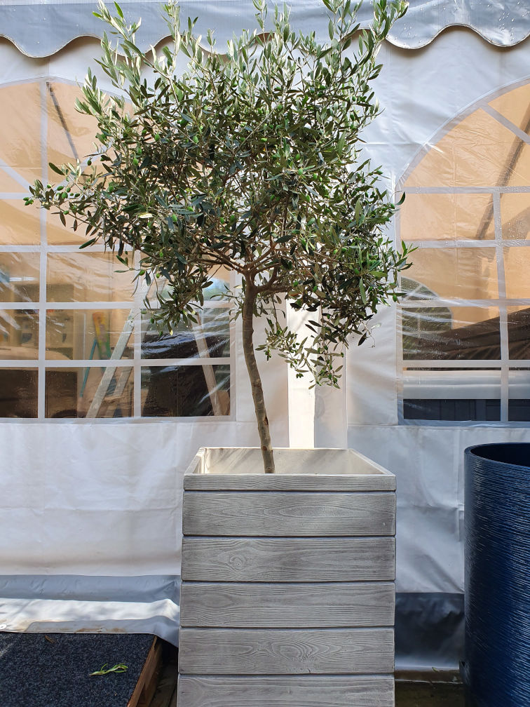 Bloempot vintage kleur gris