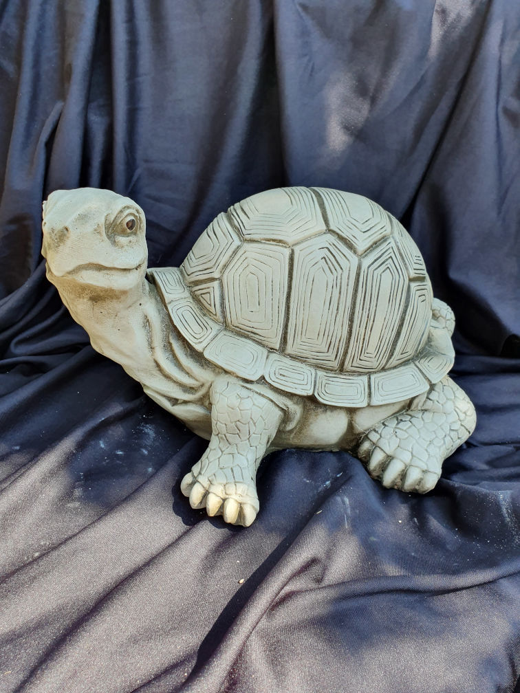 Schildpad Tuga kleur naturel musgo