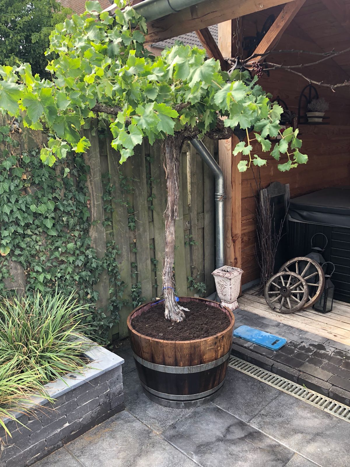 IMG 20180911 WA0026