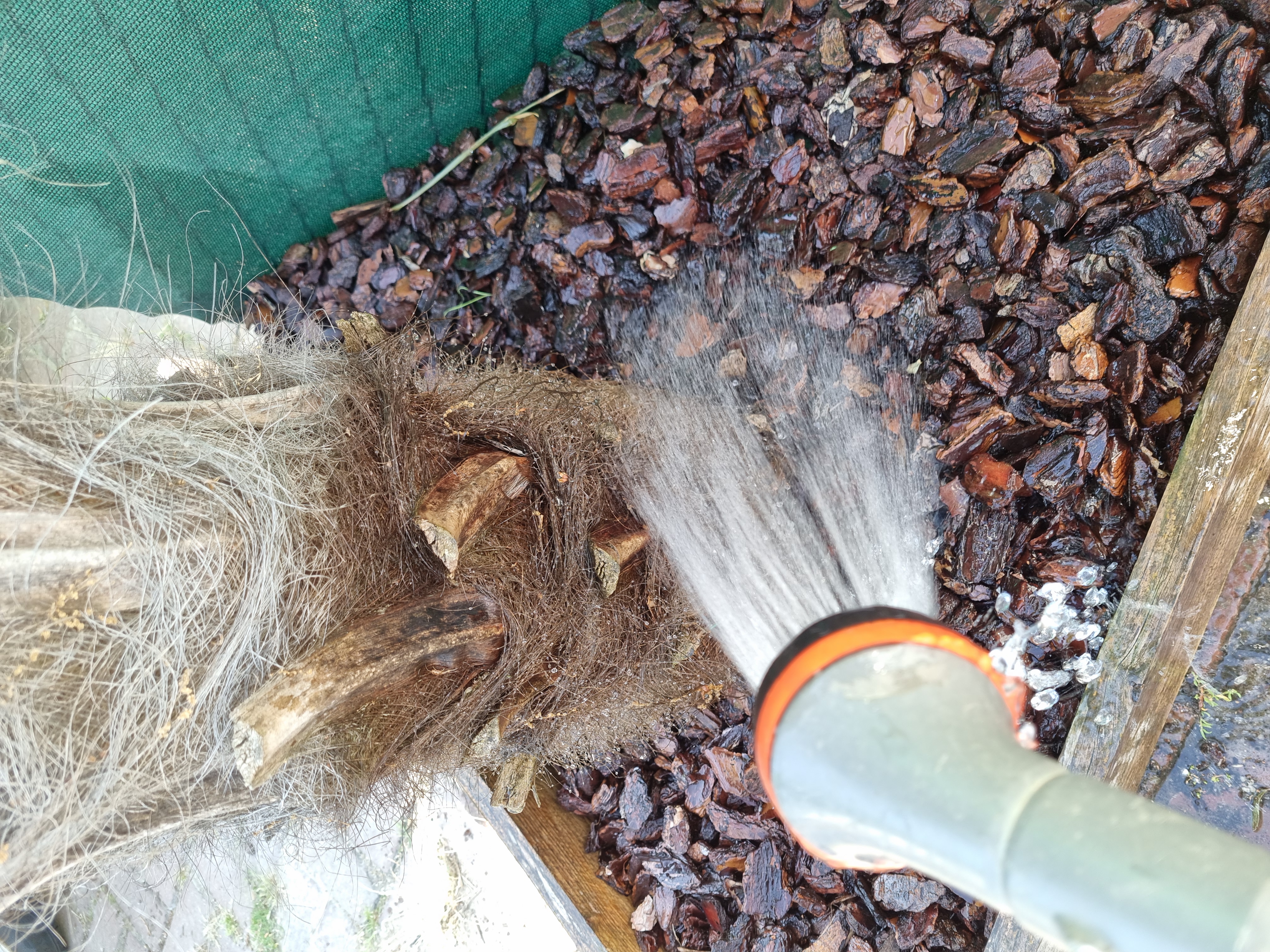 Plant- en voedingstips 1