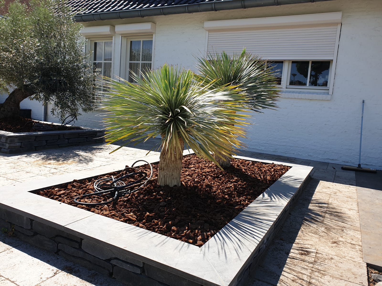 Mediterrane potgrond